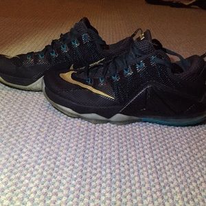 Lebron 12 low carbon fiber